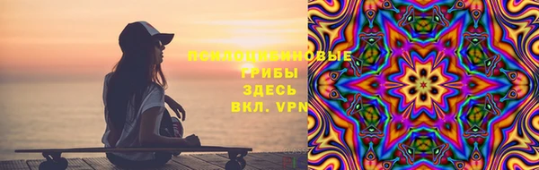 соль ск Алзамай