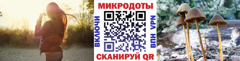купить наркотики сайты  Братск  Псилоцибиновые грибы ЛСД 